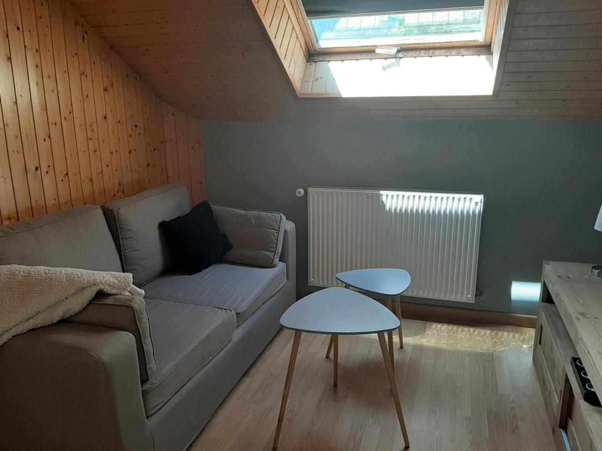 Charmant Appartement 2-4 Personnes Entre Annecy Et Aravis Thônes Εξωτερικό φωτογραφία