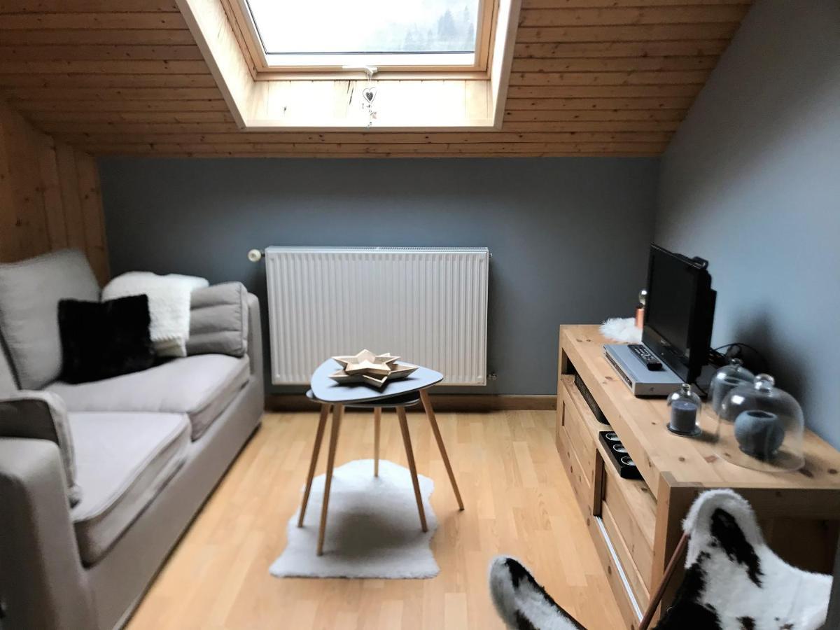 Charmant Appartement 2-4 Personnes Entre Annecy Et Aravis Thônes Εξωτερικό φωτογραφία