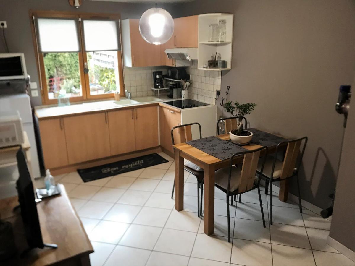 Charmant Appartement 2-4 Personnes Entre Annecy Et Aravis Thônes Εξωτερικό φωτογραφία
