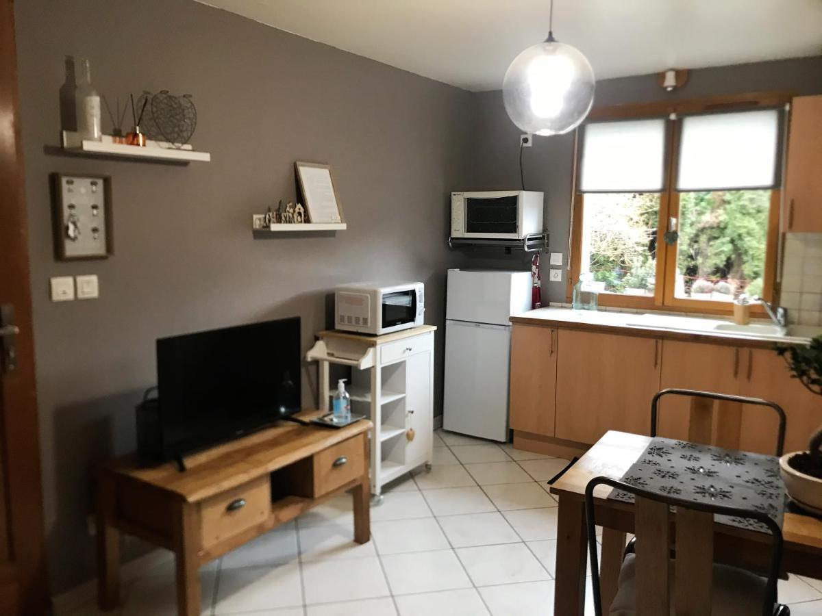 Charmant Appartement 2-4 Personnes Entre Annecy Et Aravis Thônes Εξωτερικό φωτογραφία