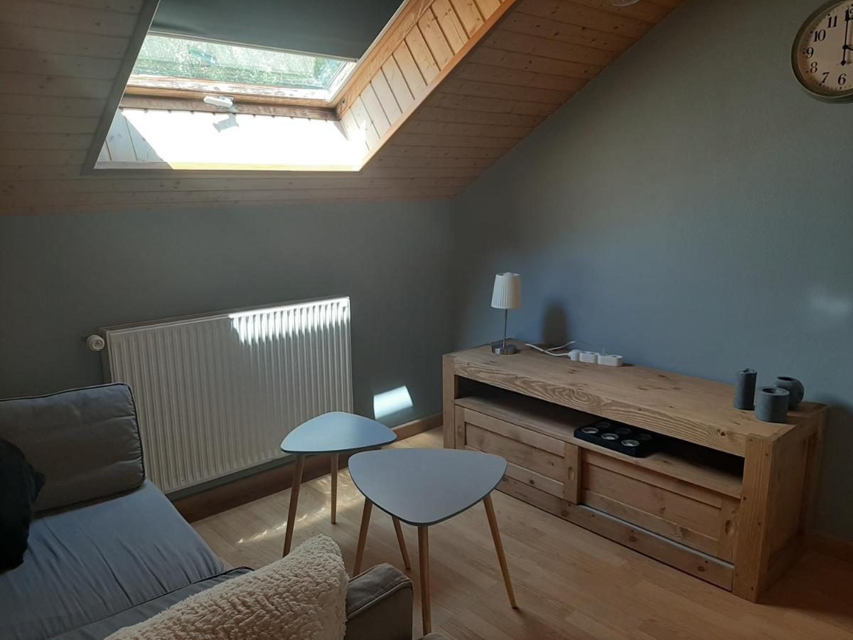 Charmant Appartement 2-4 Personnes Entre Annecy Et Aravis Thônes Εξωτερικό φωτογραφία